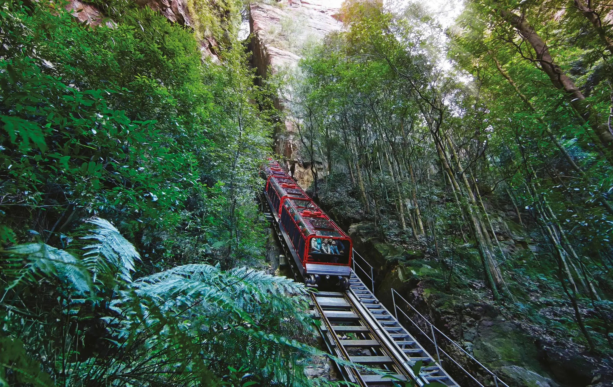Blue Mountains Adventure Scenic World, Zoo & Koala Photo