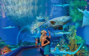 Cairns Aquarium Tickets Cairns Aquarium Tickets