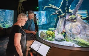 Cairns Aquarium Tickets