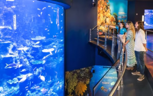 Cairns Aquarium Tickets