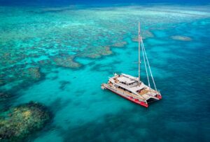 From Cairns Great Barrier Reef Cruise by Premium Catamaran From Cairns Great Barrier Reef Cruise by Premium Catamaran