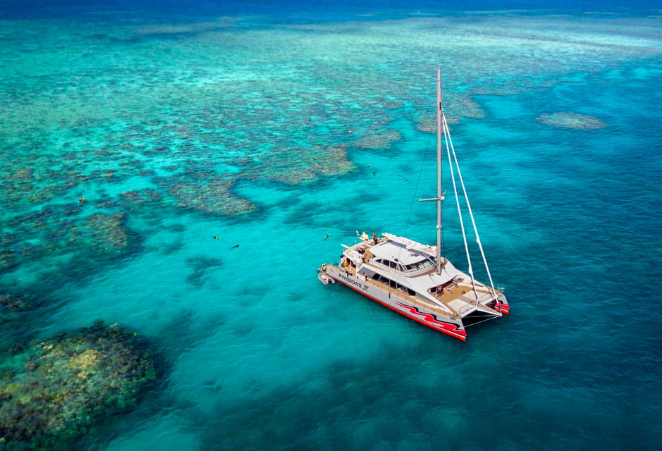 From Cairns Great Barrier Reef Cruise by Premium Catamaran