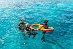 From Cairns Great Barrier Reef Cruise by Premium Catamaran