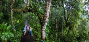 From Cairns Self-Guided Kuranda Trip with Train and Skyrail