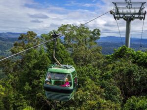 From Cairns Self-Guided Kuranda Trip with Train and Skyrail