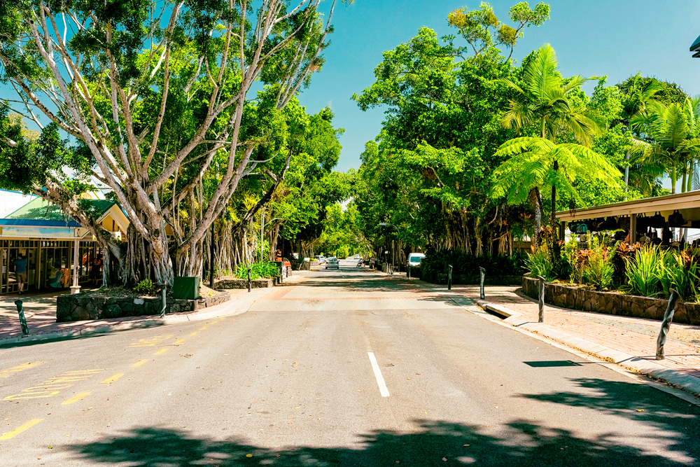 Kuranda Scenic Railway - Things to Do in Kuranda