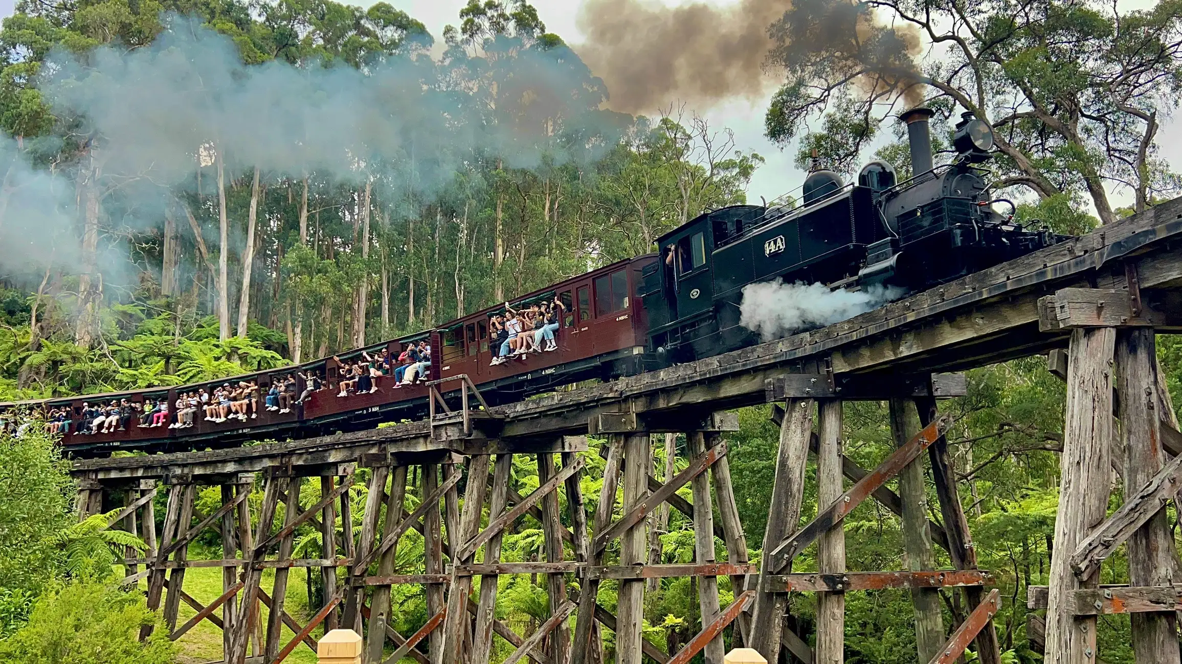 Melbourne Half-Day Puffing Billy Steam Train Experience