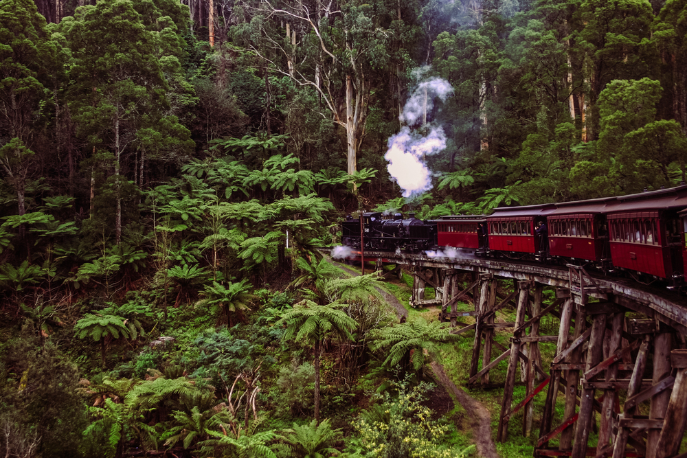Puffing Billy Tickets - What is Puffing Billy Railway Puffing Billy Tickets - What is Puffing Billy Railway