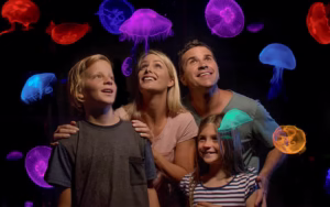 SEA LIFE Sunshine Coast Aquarium Tickets