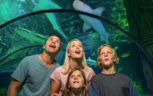 SEA LIFE Sunshine Coast Aquarium Tickets