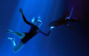 SEA LIFE Sunshine Coast Aquarium Tickets