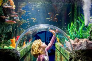 SEA LIFE Sydney Aquarium Entry Ticket2
