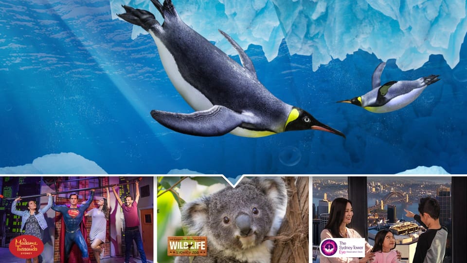 Sydney Ultimate City Pass for 5 Attractions with Skywalk