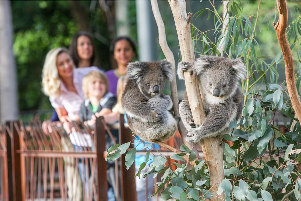 Melbourne Zoo 1-Day Entry Ticket