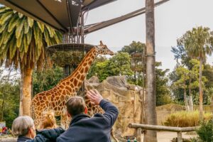 gyg Melbourne Zoo 1-Day Entry Ticket2